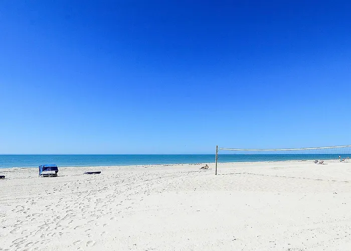 Iii 505 * Clearwater Beach